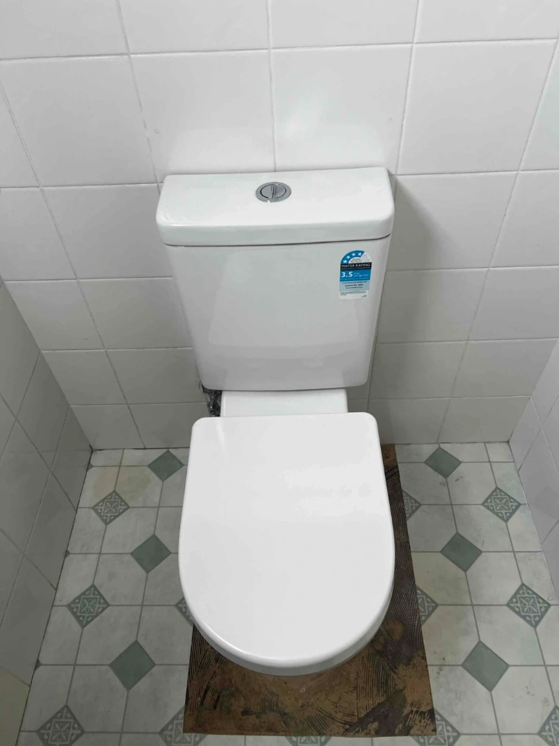 Professional Toilet Installation and Replacement