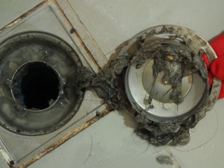 Hair removal from drain
