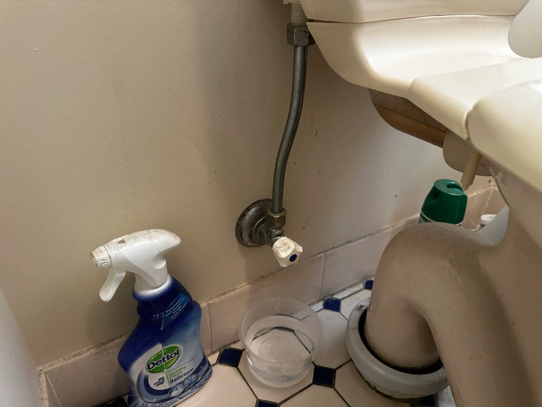 Emergency Bathroom Water Leak Repair