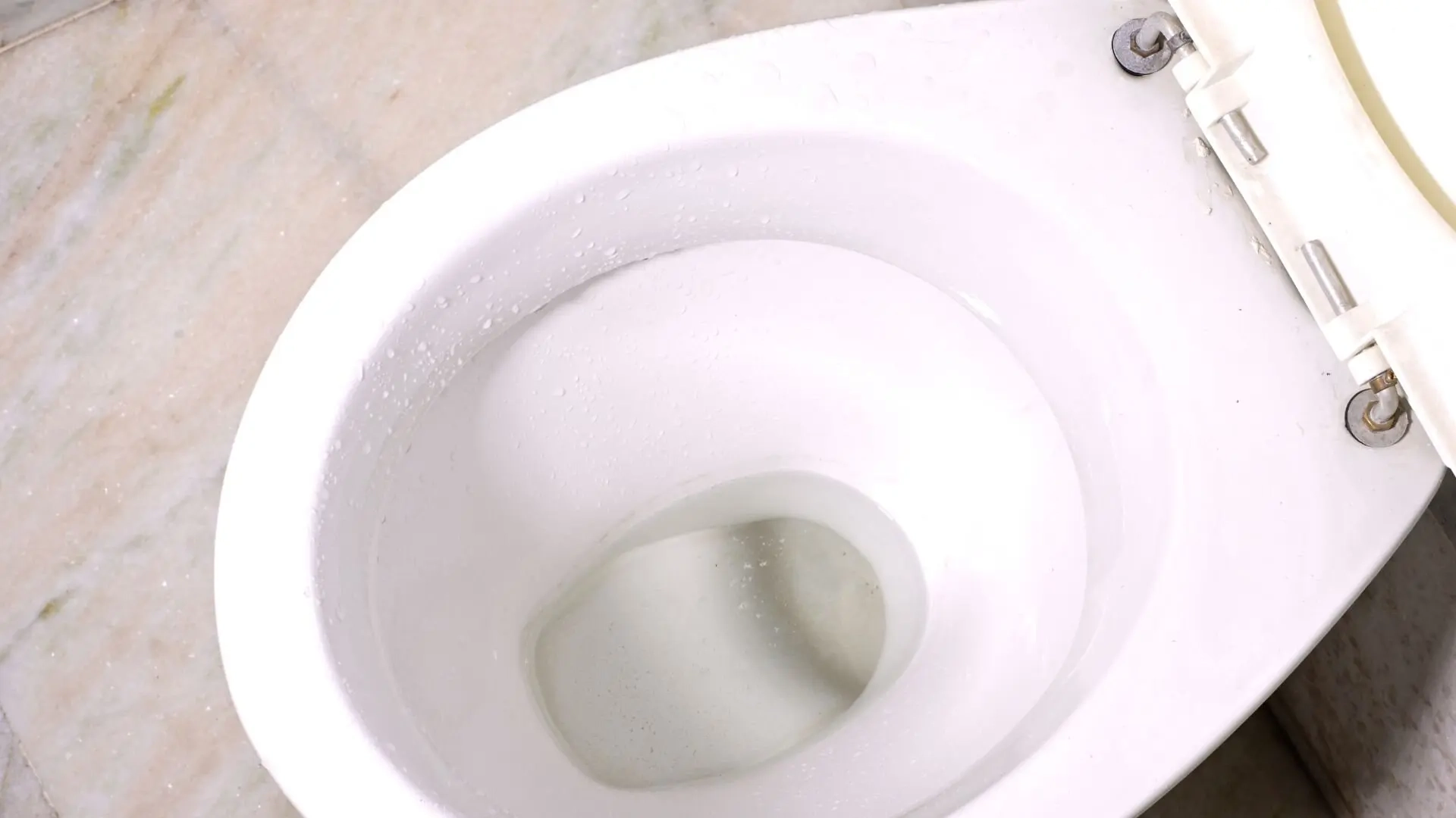 How to Adjust Toilet Water Level