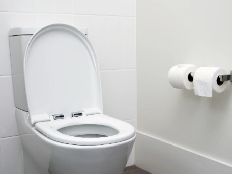 toilet system