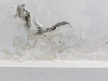 Water Damage in Roof Cavity
