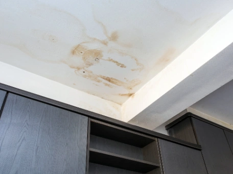 Roof cavity damage