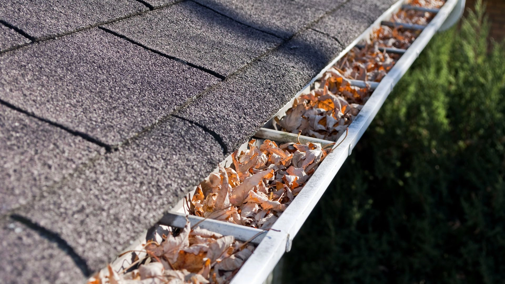 7 Signs Your Gutter Is Blocked