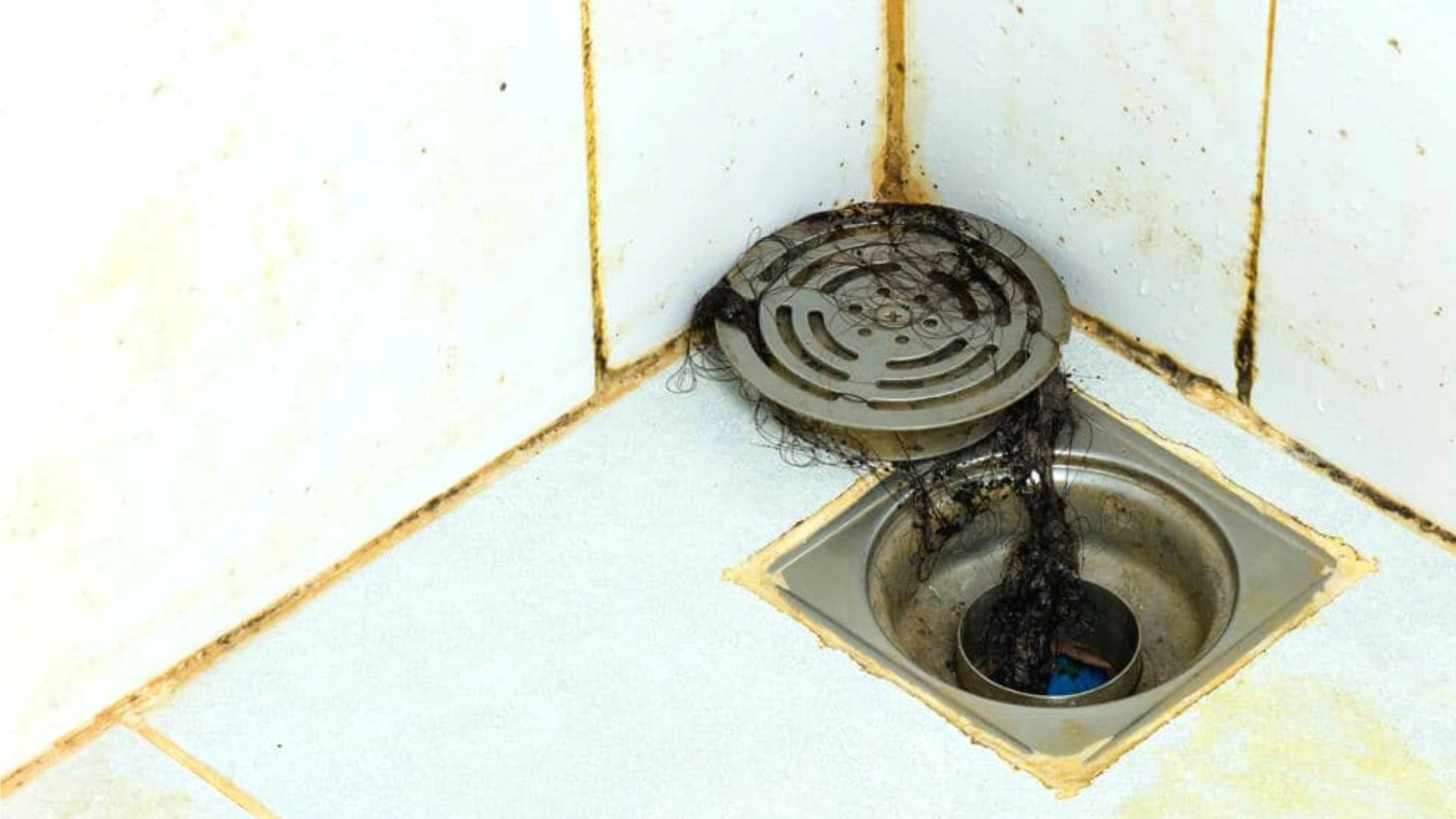 Most Common Causes of Clogged Shower Drains