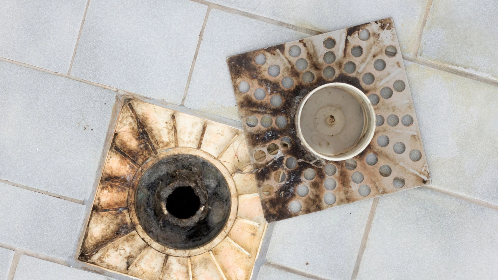 Fast Fixes for Backed-Up Floor Drains with Unblocking Solutions