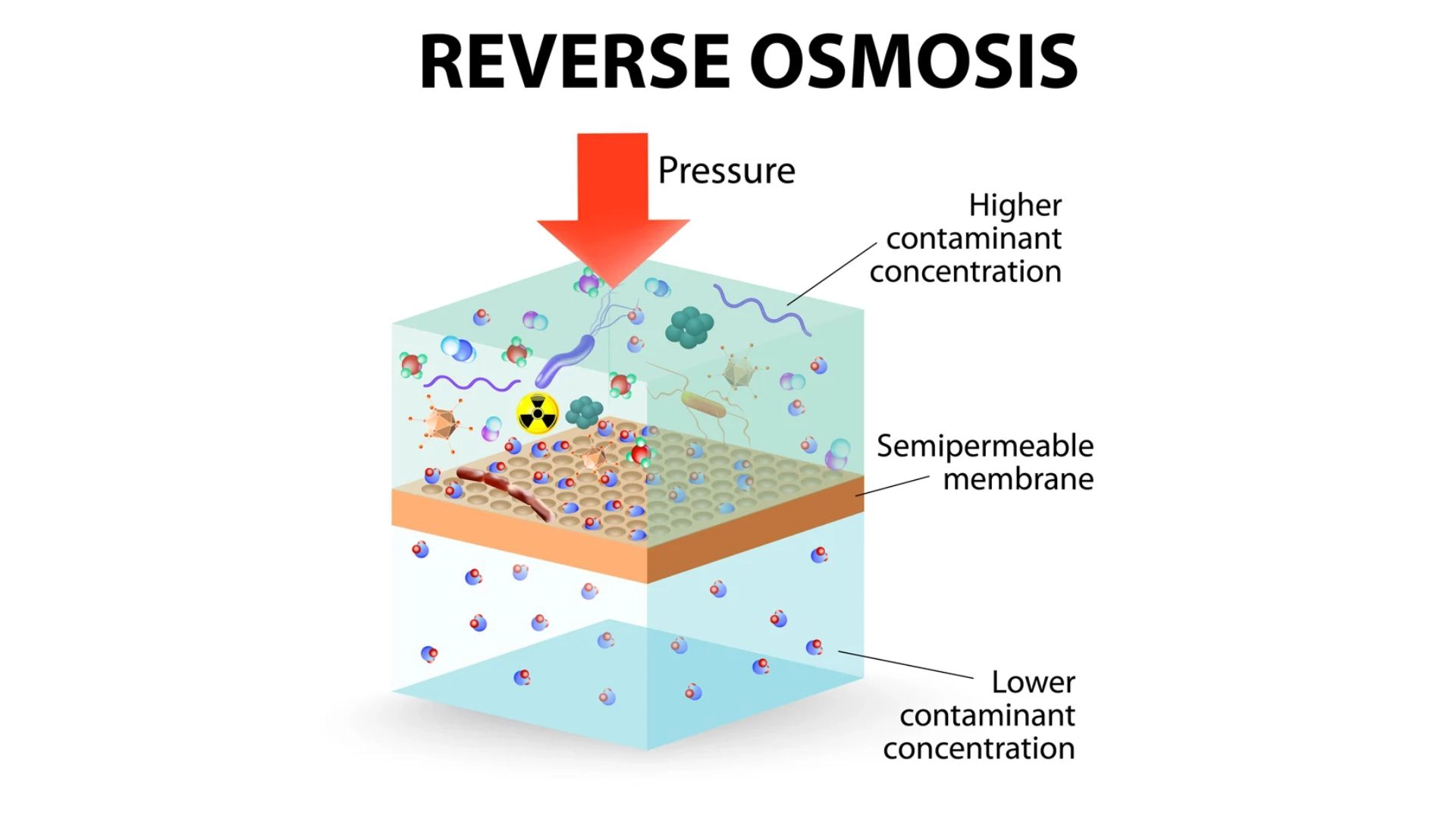 How Do Water Filters Work?