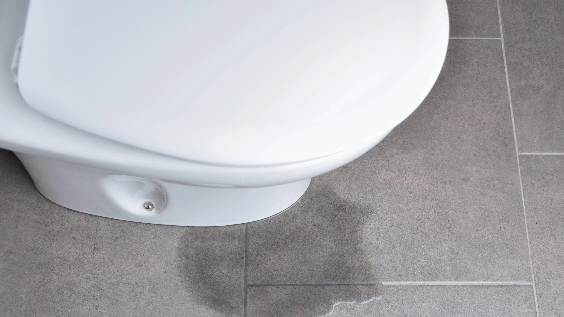 What Is a Toilet Seal and Why Does It Matter?