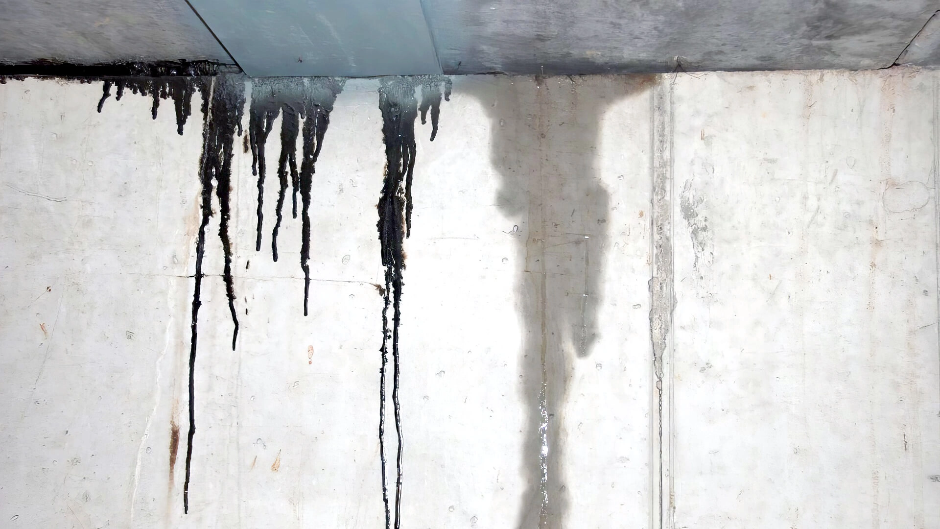 8 Of The Most Common Causes Of Household Water Leaks