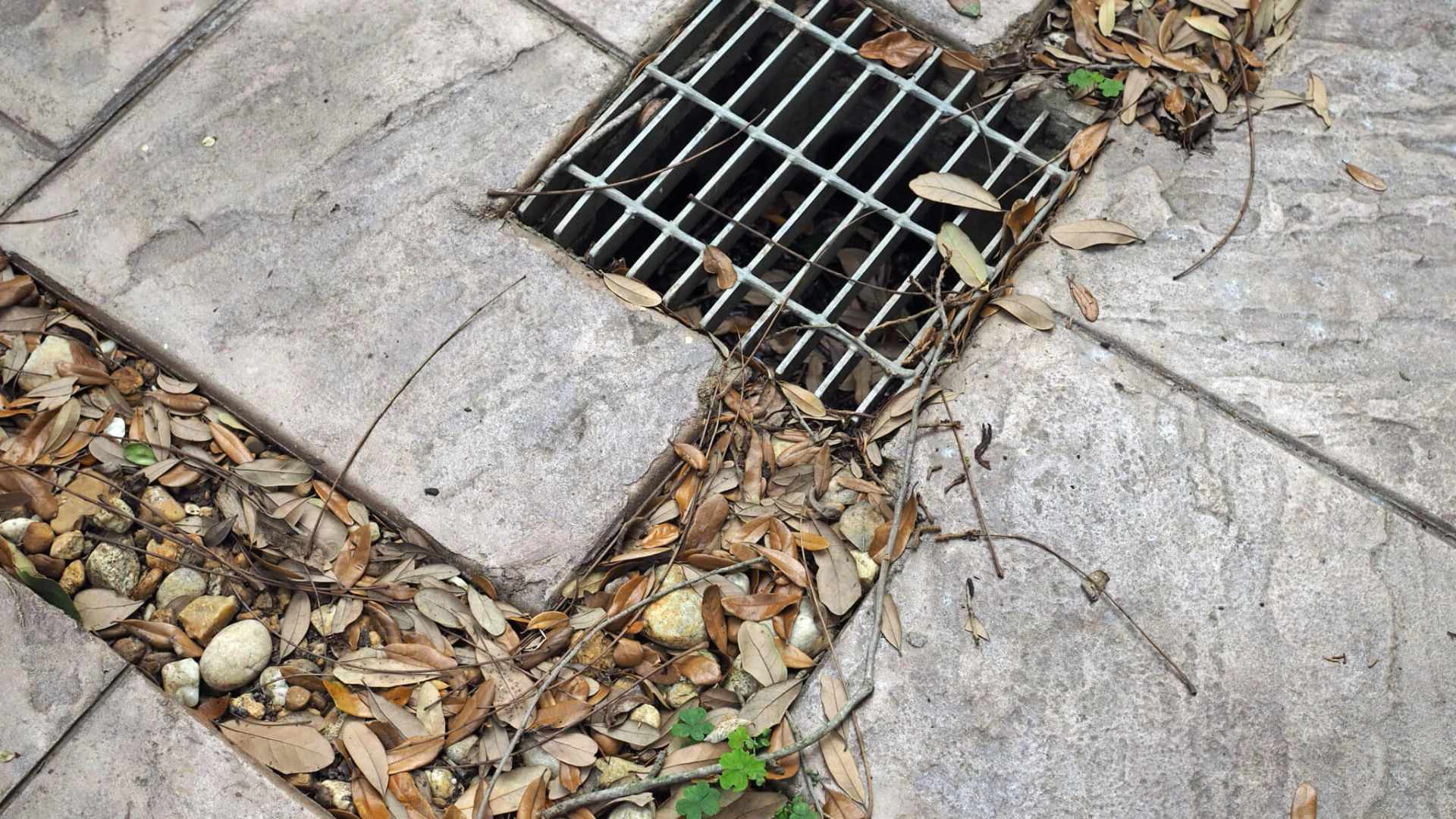 How to Prevent and Clear Blockages in Outdoor Drains - Gold Coast Plumbing Company
