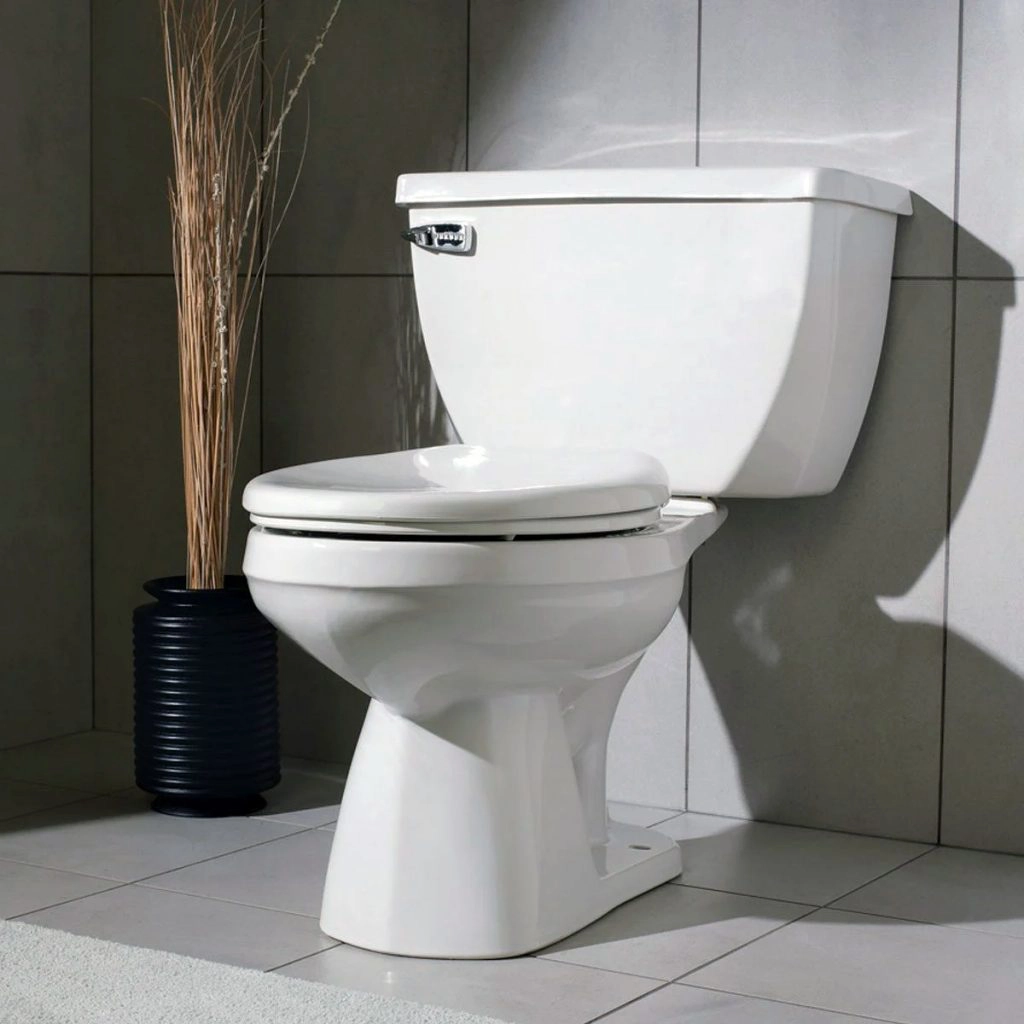 Types Of Flushing Mechanisms In Toilets