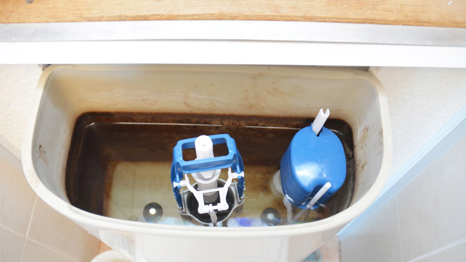 Replace Toilet Bowl or Tank? Avoid This Costly Mistake