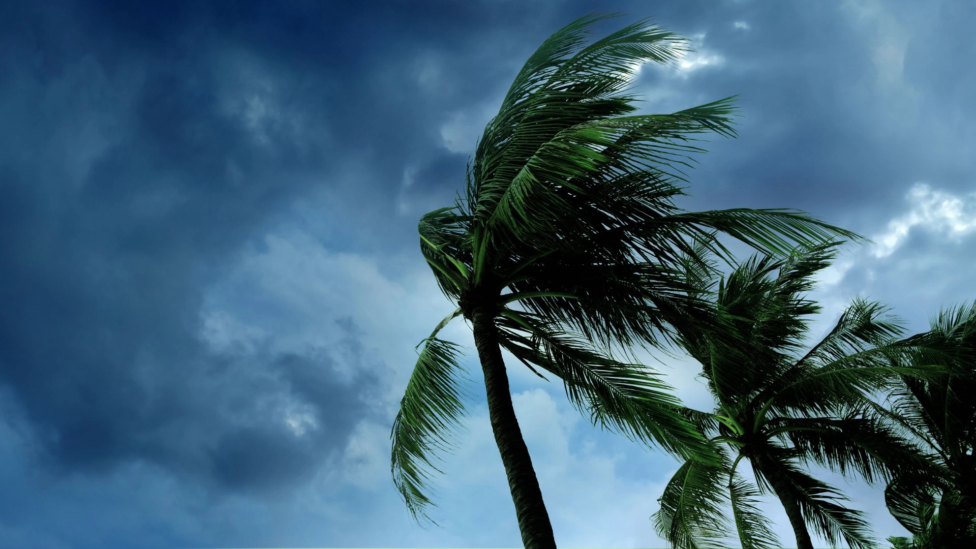 Stormwater Drainage Basics: Where Does the Water Go?