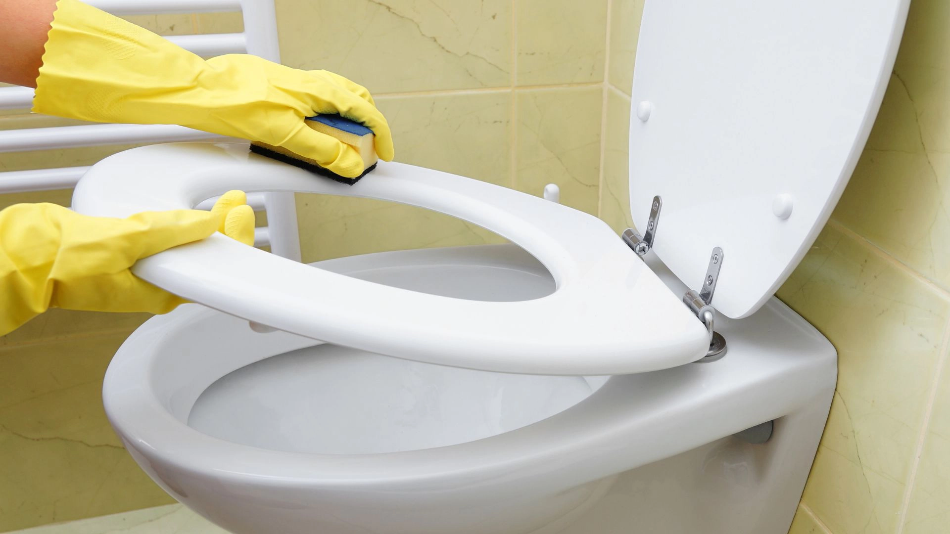 Persistent Toilet Odour After Cleaning? Here’s Why