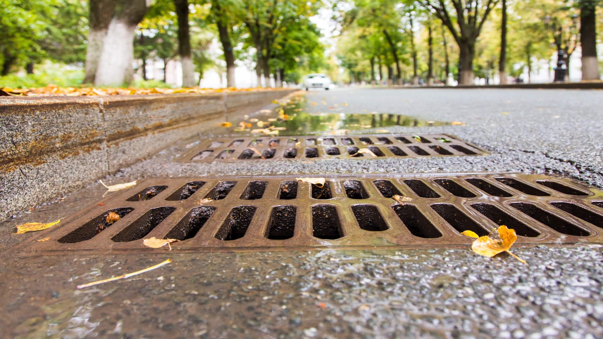 How To Maintain Your Stormwater Drains - Gold Coast Plumbing Company