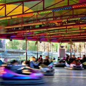 Image for Carnival & Amusement Rides