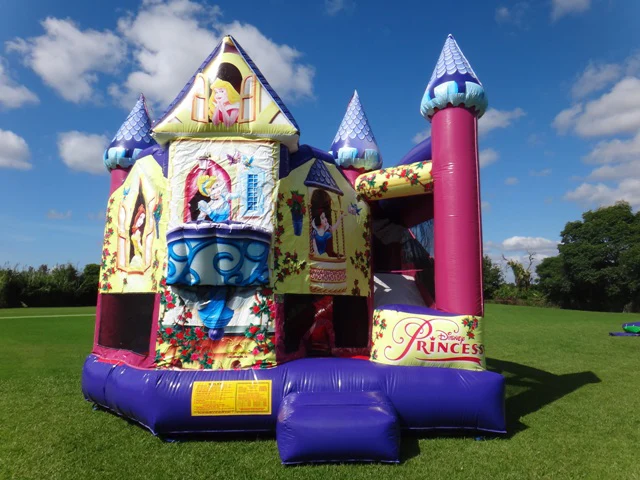 Image 1 for Disney Princess Jumping Castle Combo