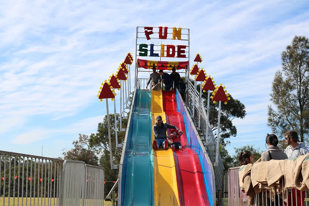 Image 2 for Giant Fun Slide