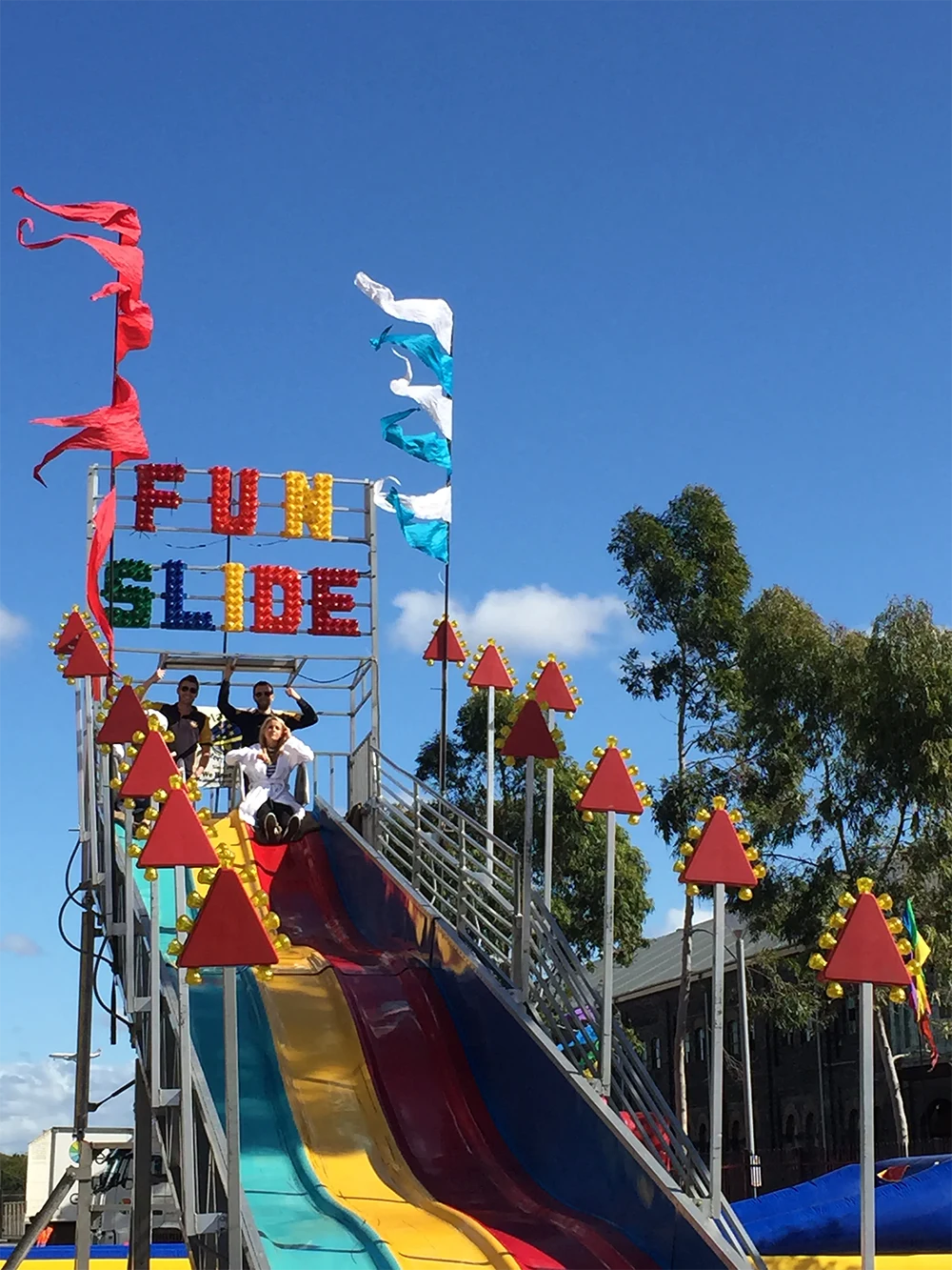 Image 4 for Giant Fun Slide