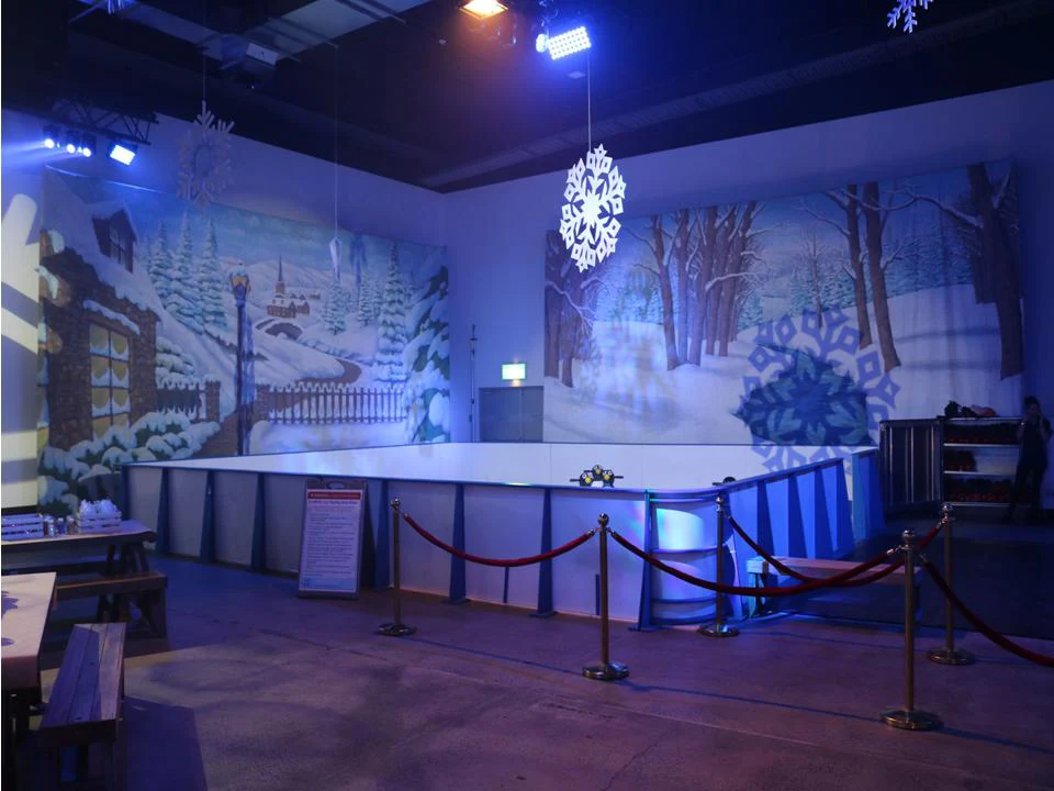 Main image for Ice Skating Rink