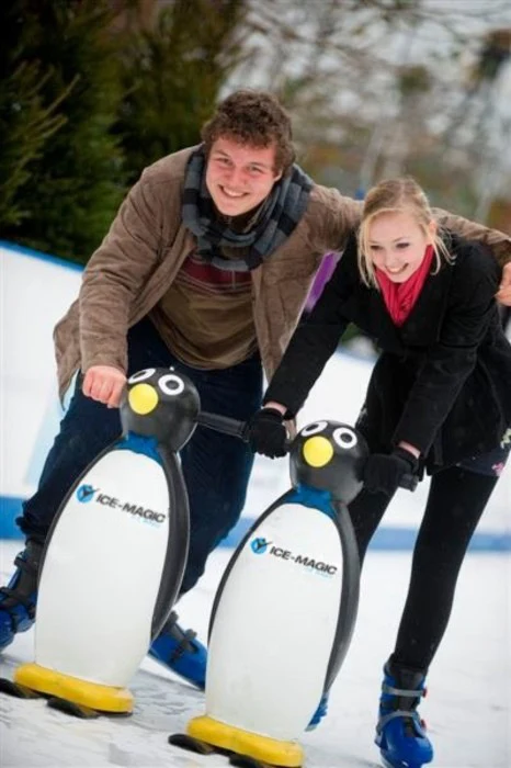 Image 2 for Ice Skating Rink