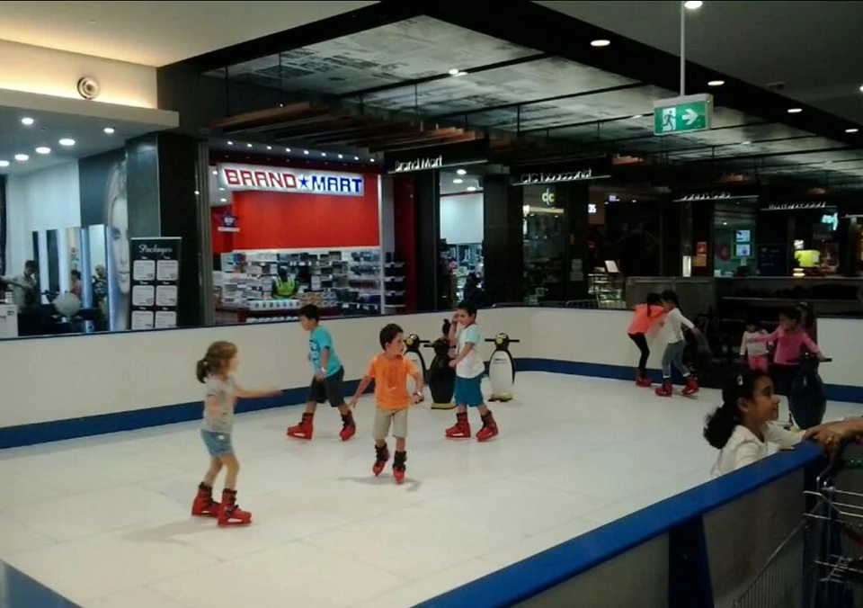 Image 5 for Ice Skating Rink