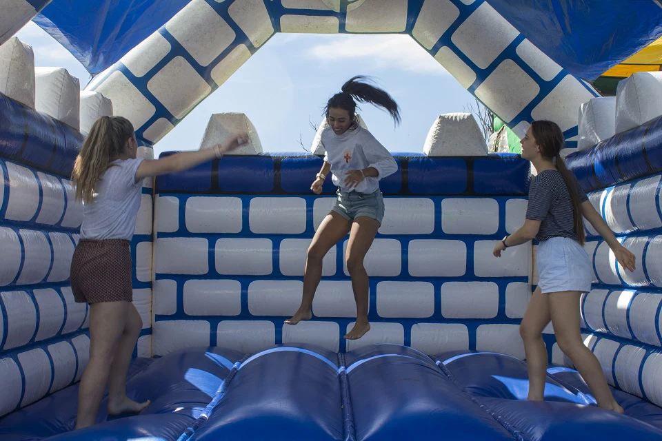 Image 3 for Knights Jumping Castle