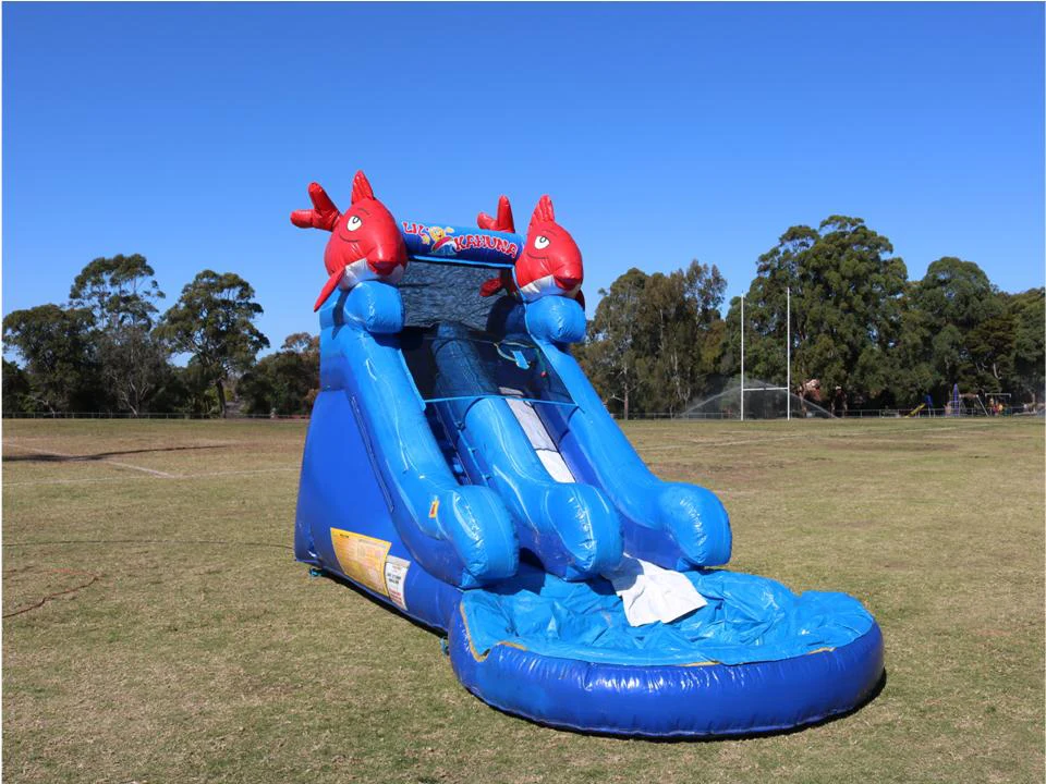 Image for Lil Kahuna Water Slide