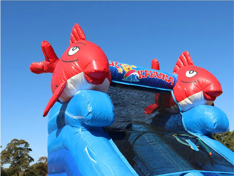 Image 3 for Lil Kahuna Water Slide