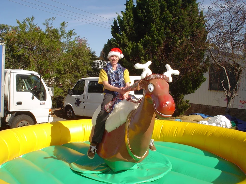 Main image for Mechanical Reindeer