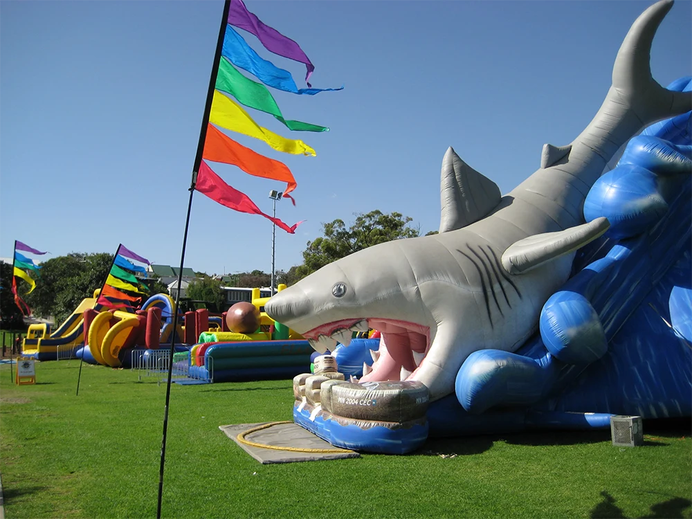 Image 2 for Giant Shark Dry Slide