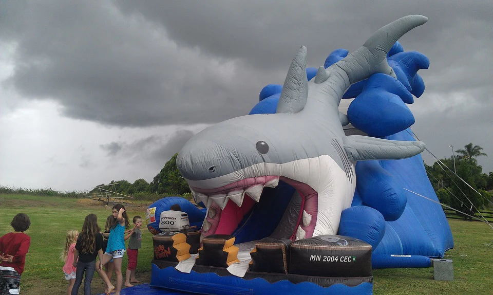Image 4 for Giant Shark Dry Slide