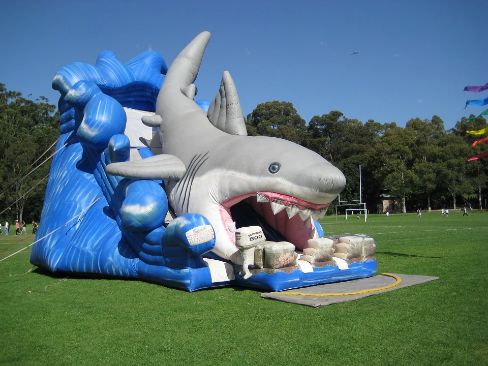 Image 5 for Giant Shark Dry Slide