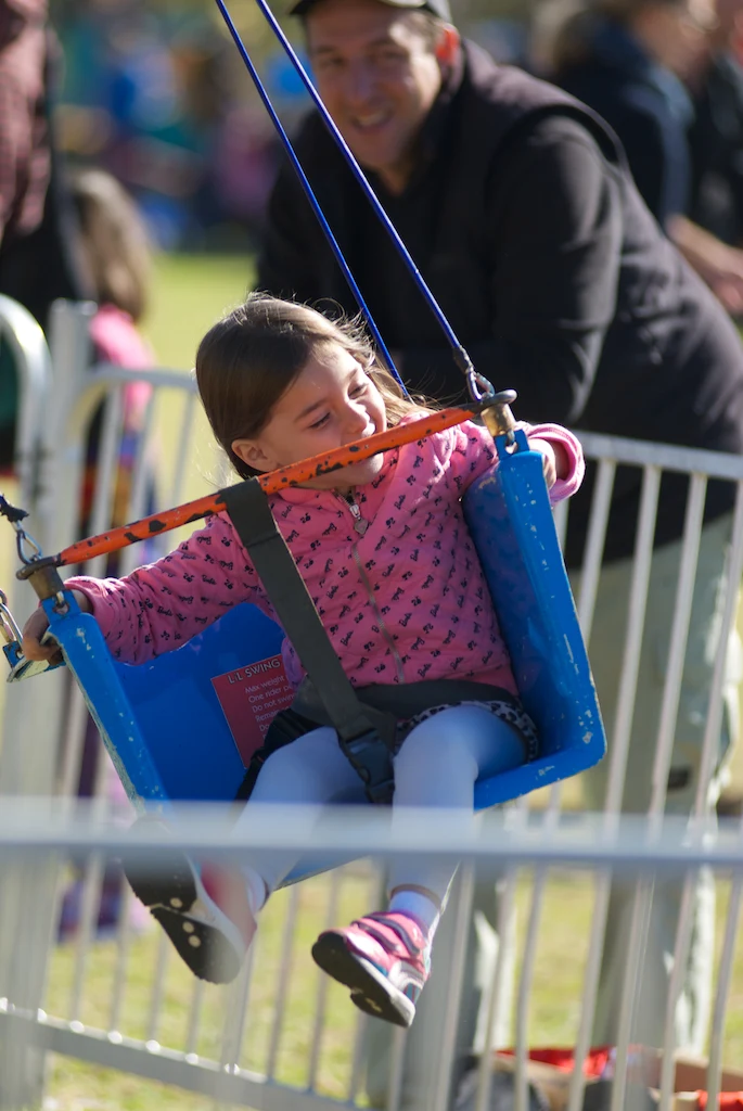 Image 4 for Swinging Chairs