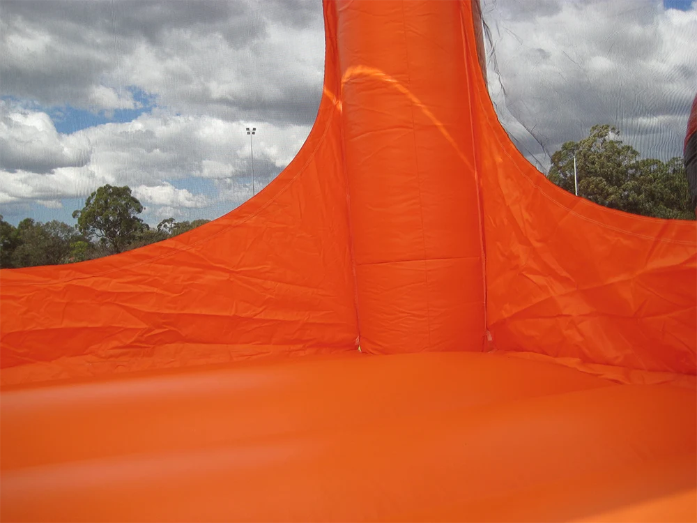Image 3 for Tiger Belly Jumping Castle