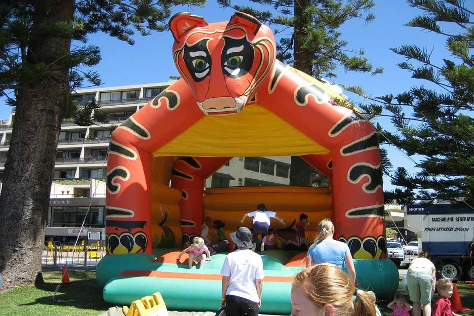Image for Tiger Jumping Castle