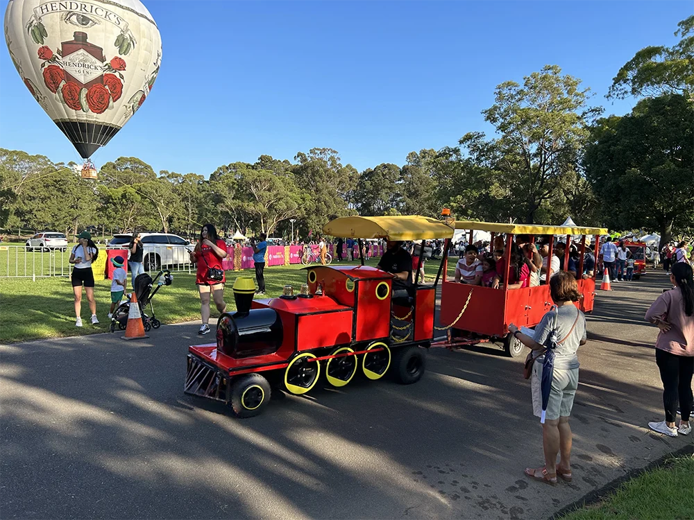 Image 4 for Trackless Train