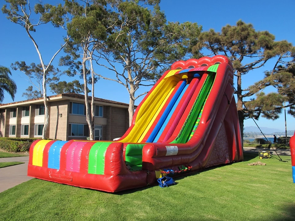 Image 3 for Candy Crush Dry Slide