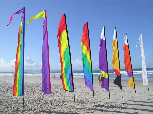 Main image for Event Flags