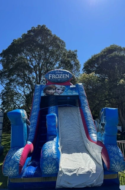 Image 1 for Disney Frozen Dry Slide