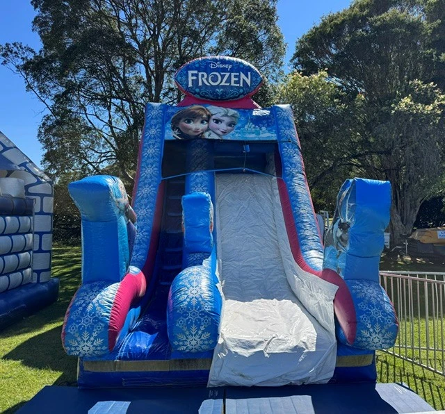Image for Disney Frozen Dry Slide