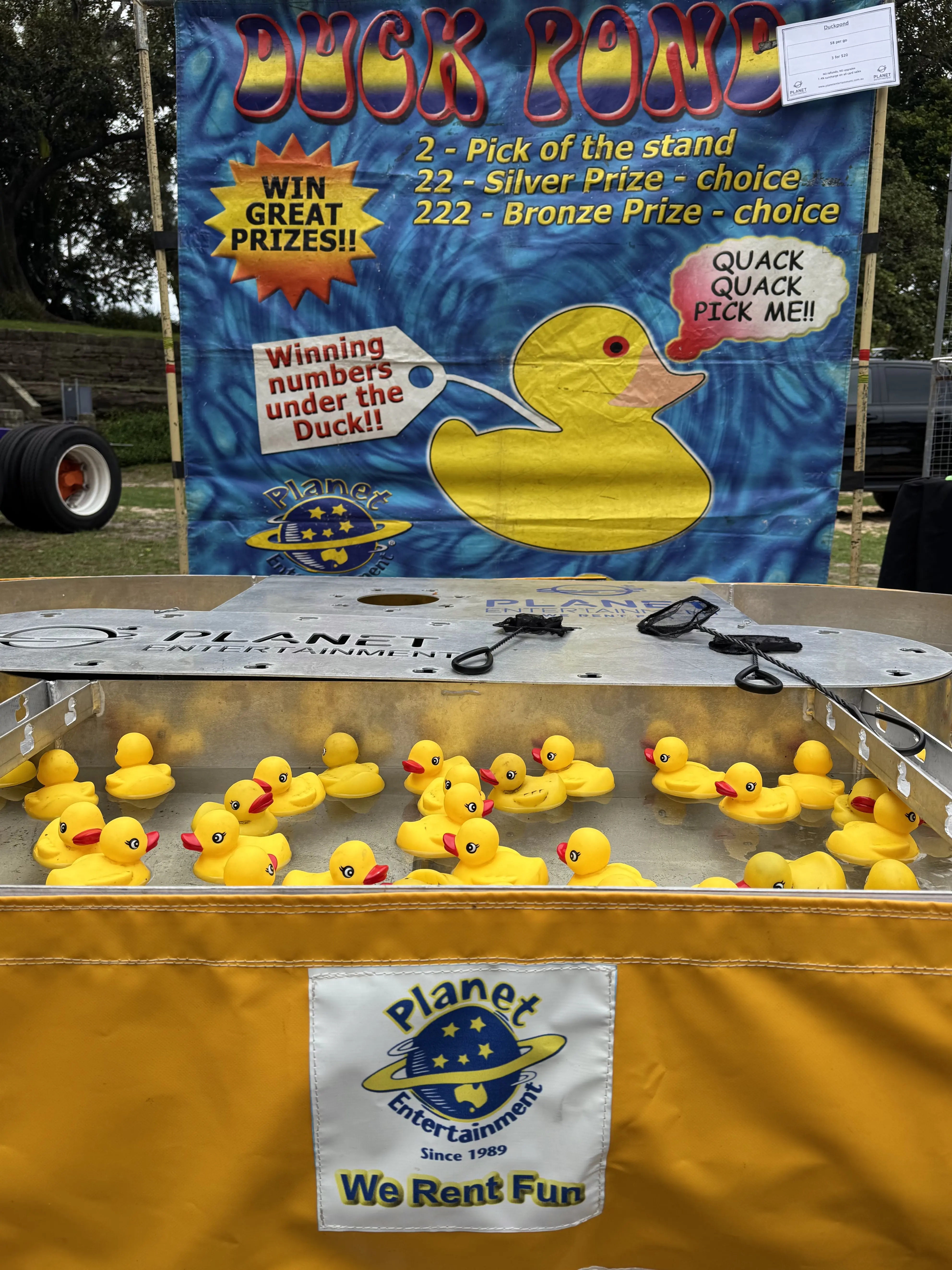 Main image for Event-Sized Duck Pond