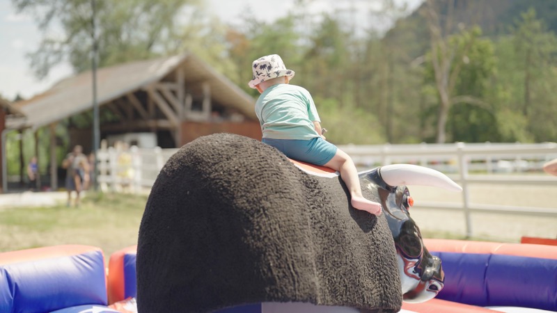 Buckle Up for Fun: Why Mechanical Bull Hire is a Crowd Favourite at Any Event
