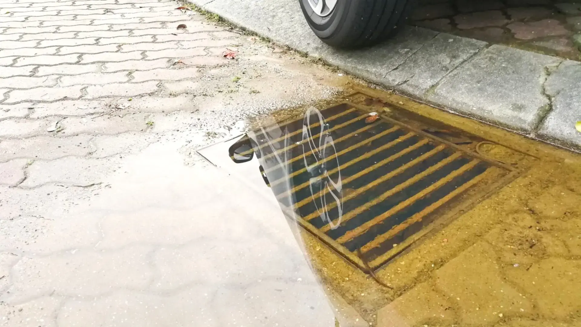 Blocked Stormwater Drain