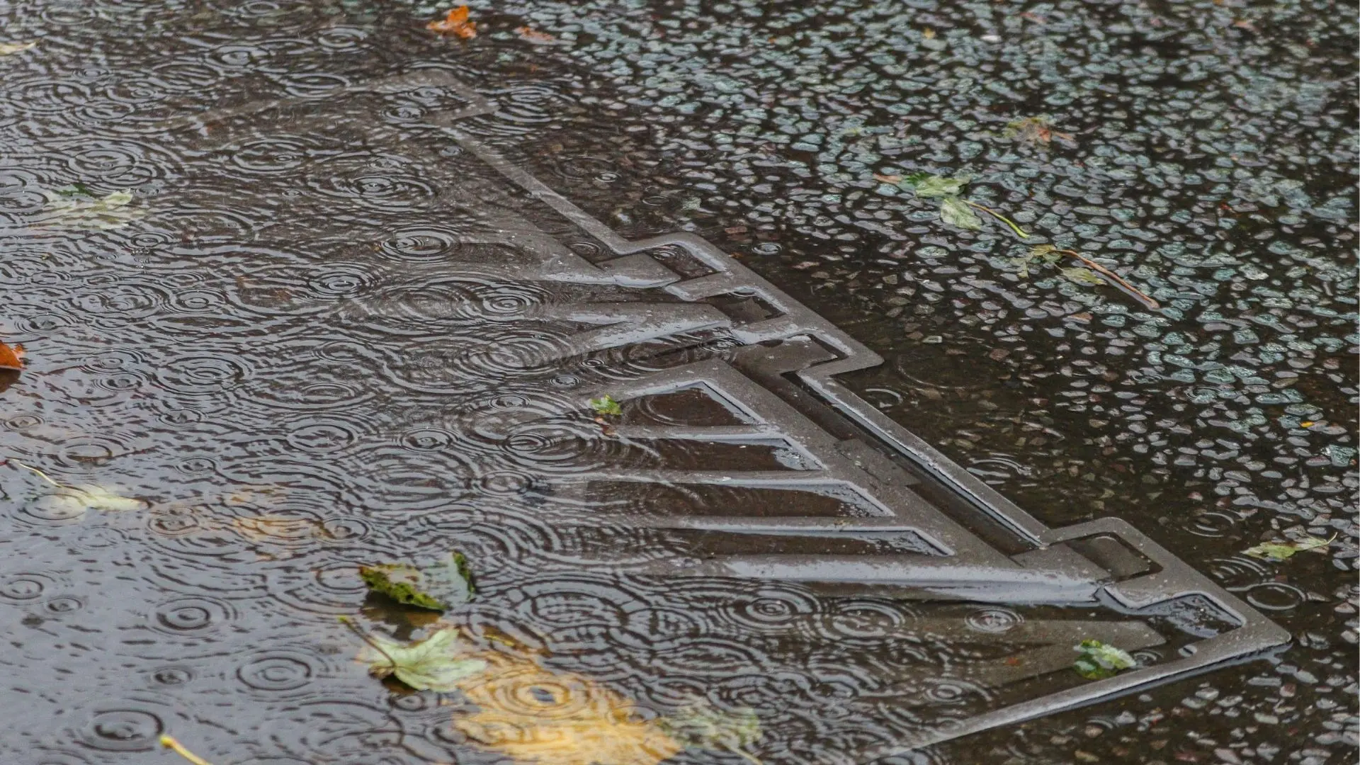 Blocked Stormwater Drain