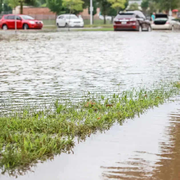 Blocked stormwater drain