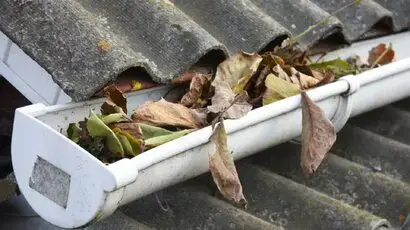 Leaf filled roof gutter