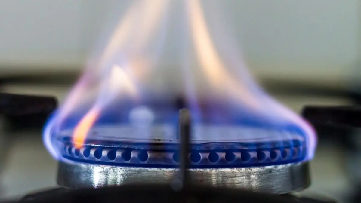 Gas Cooktop