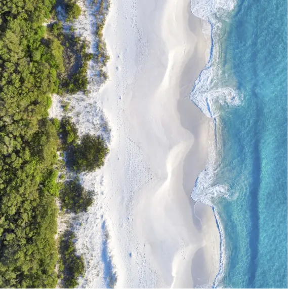 IEC serve with purpose