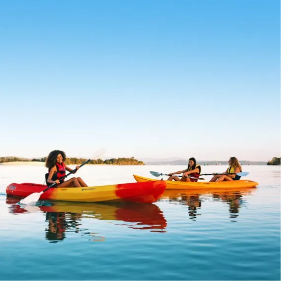 IEC serve with purpose